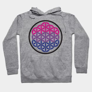 bi sacred geometry Hoodie